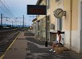 210-Sim attente-6759